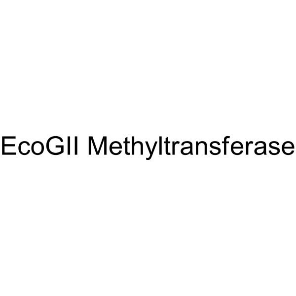 EcoGII Methyltransferase (EcoGII )